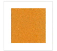 Load image into Gallery viewer, SWIMWEAR Sunny MAXFORT MAX several colors 3XL to 10XL