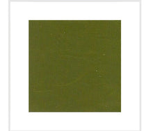 Load image into Gallery viewer, SWIMWEAR Sunny MAXFORT MAX several colors 3XL to 10XL